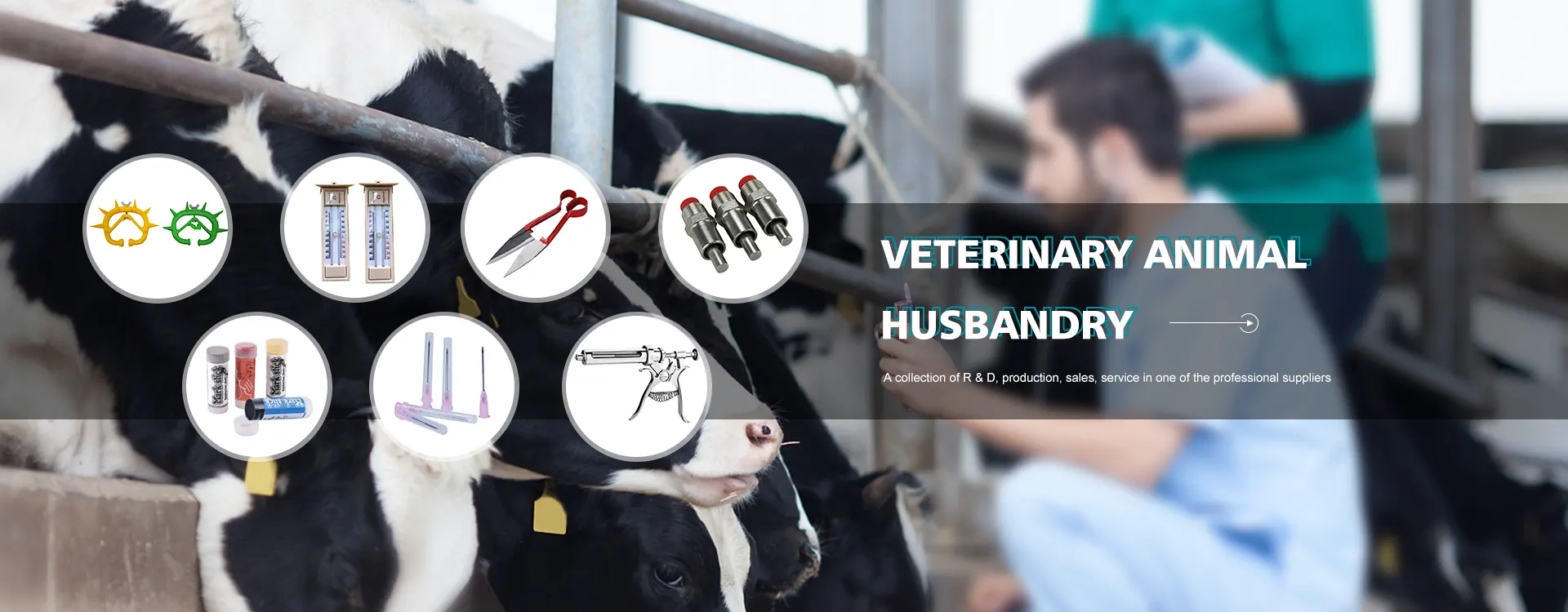 Proveedores de Herramientas veterinarias